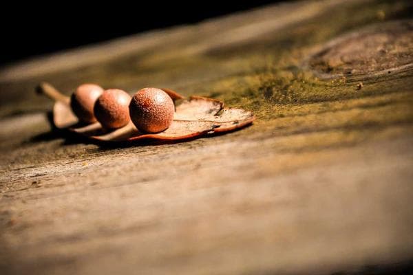 Waste Pipe Replacement